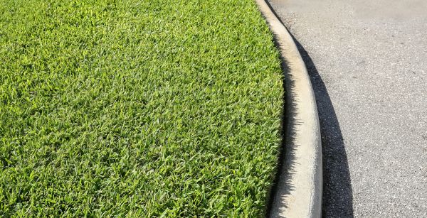 Cost of Street Curb Repair in Billings
